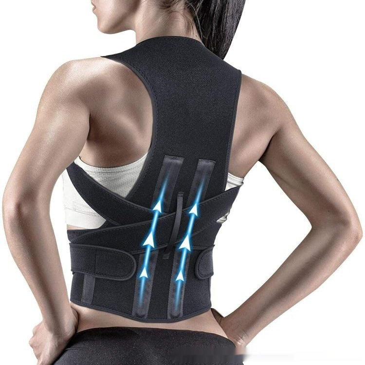 Double Dragon Bone Back Posture Correction Belt by null