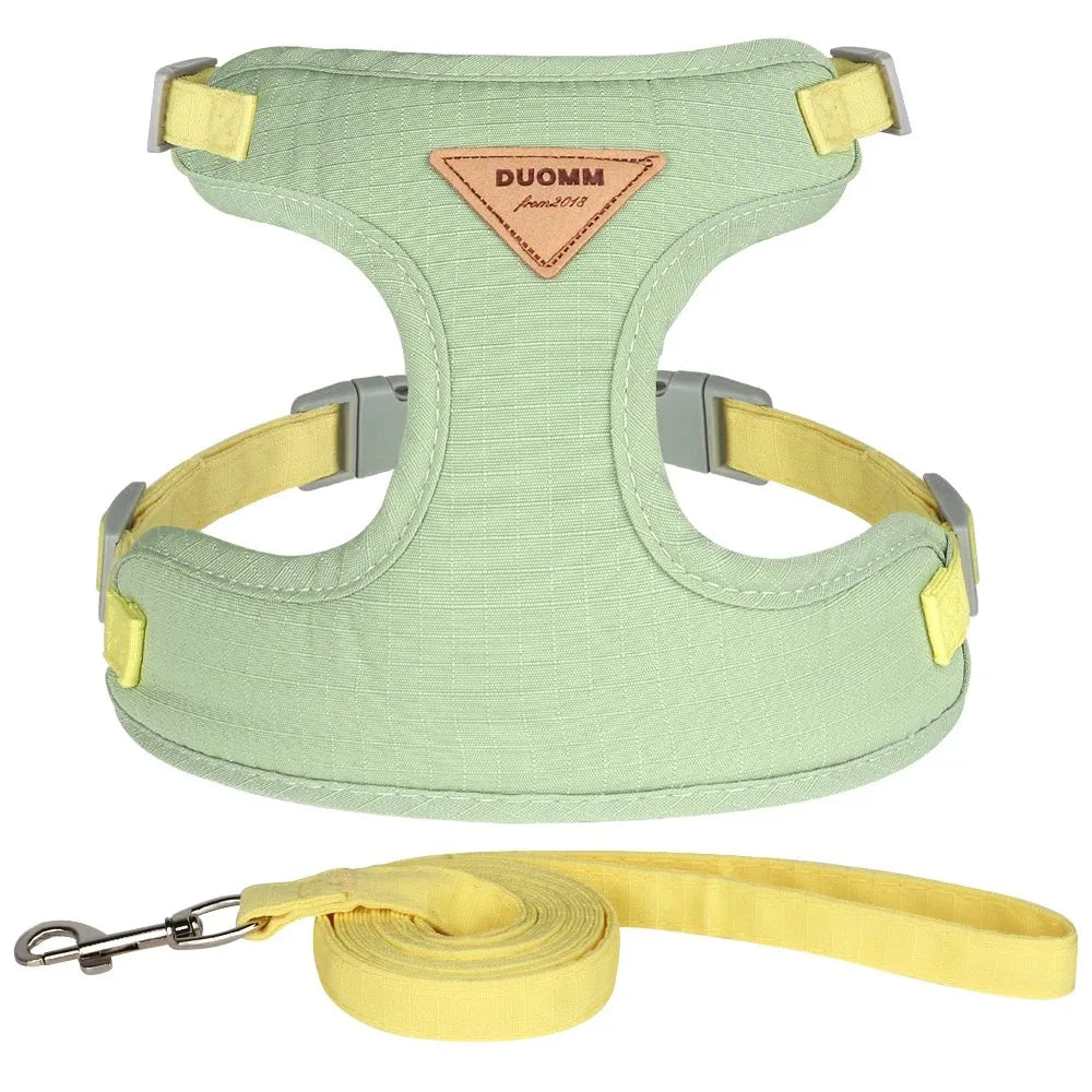 Pet Products for Cats Detachable Collar Pets Kittens Harness Accessories Goods Cute Kitten Animal Animals Stuff Dogs Tag Collars by Quickfindgoods