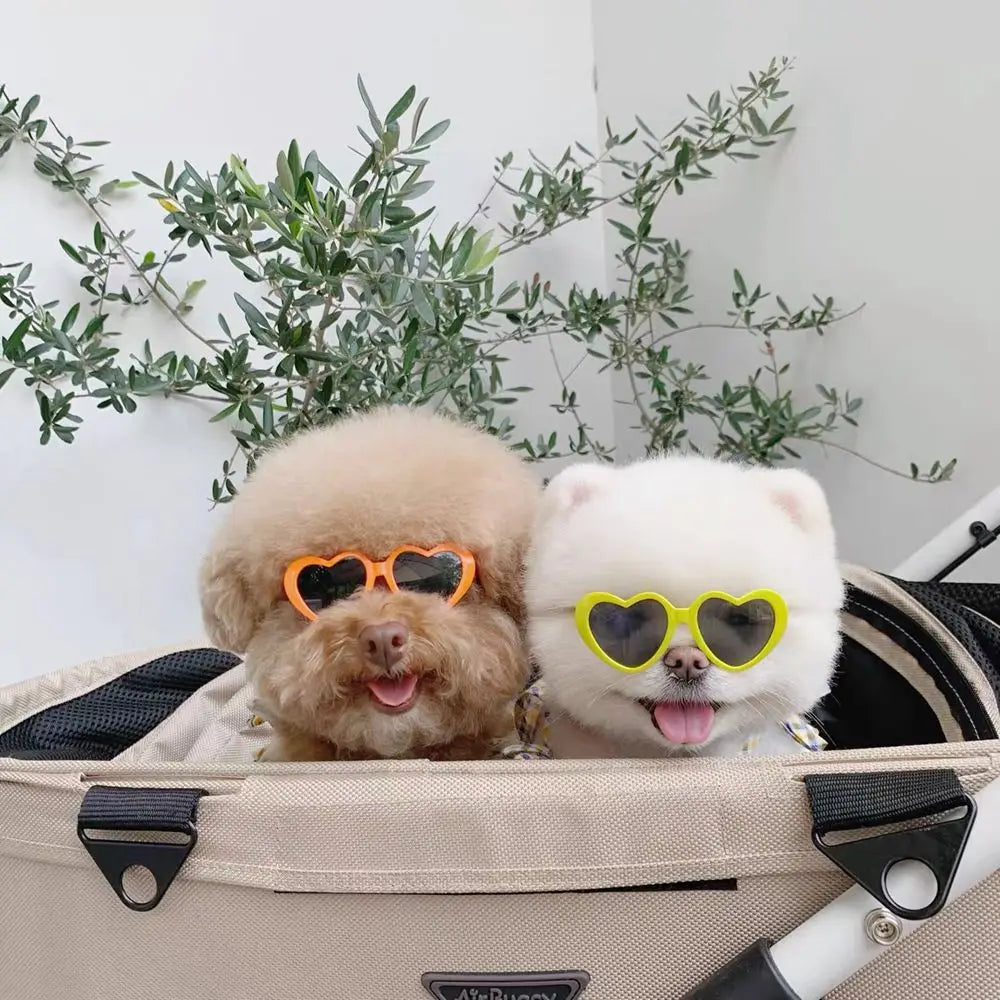 Plastic Cute Pet Products For Small Cat Photos Props Pet Glasses Cat Glasses Cat Eye-Wear Cat Sunglasses Pets Party Decor by Quickfindgoods