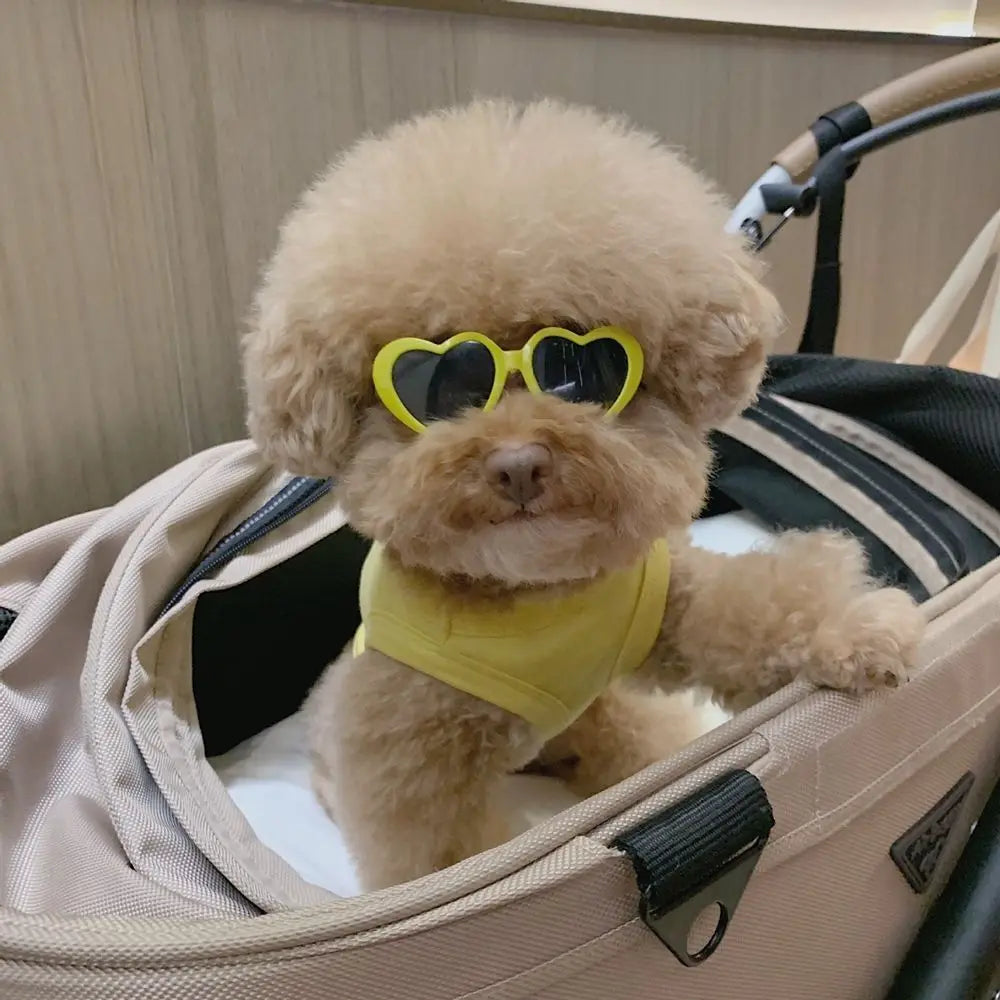Plastic Cute Pet Products For Small Cat Photos Props Pet Glasses Cat Glasses Cat Eye-Wear Cat Sunglasses Pets Party Decor by Quickfindgoods