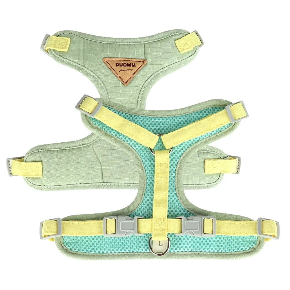 Pet Products for Cats Detachable Collar Pets Kittens Harness Accessories Goods Cute Kitten Animal Animals Stuff Dogs Tag Collars by Quickfindgoods