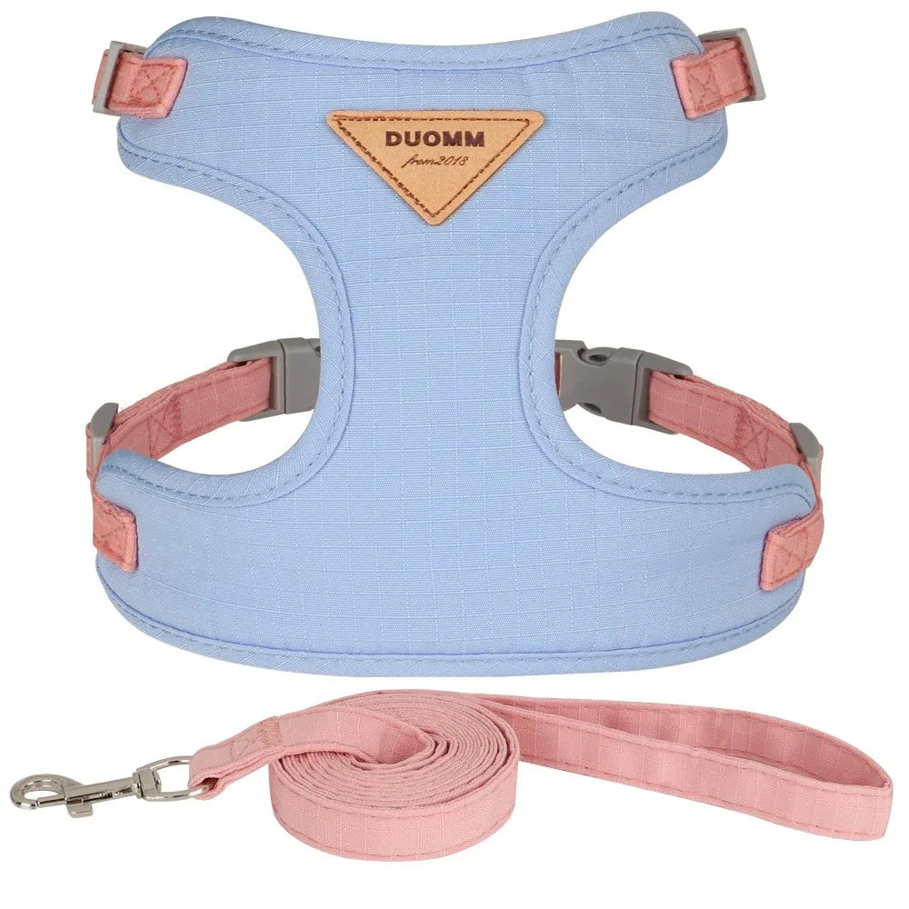 Pet Products for Cats Detachable Collar Pets Kittens Harness Accessories Goods Cute Kitten Animal Animals Stuff Dogs Tag Collars by Quickfindgoods