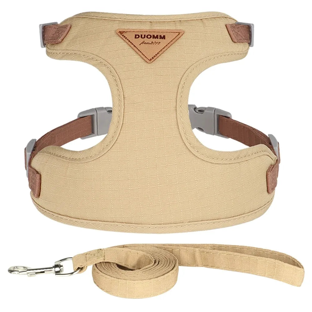 Pet Products for Cats Detachable Collar Pets Kittens Harness Accessories Goods Cute Kitten Animal Animals Stuff Dogs Tag Collars by Quickfindgoods