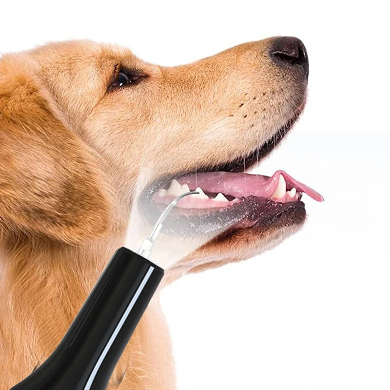 Pet Teeth Cleaning Tools Dog Toothbrushes Dog Supplies Pet Grooming Toothbrush Dental Stain Cleaning Pen Professional Products by Quickfindgoods