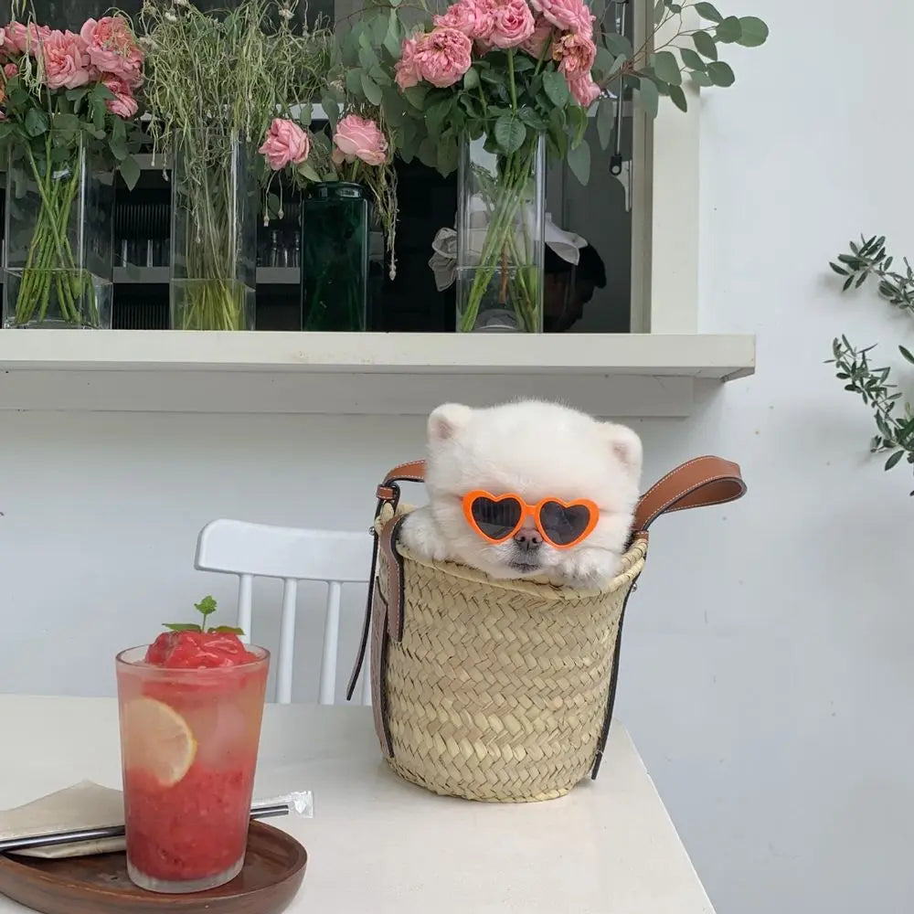 Plastic Cute Pet Products For Small Cat Photos Props Pet Glasses Cat Glasses Cat Eye-Wear Cat Sunglasses Pets Party Decor by Quickfindgoods