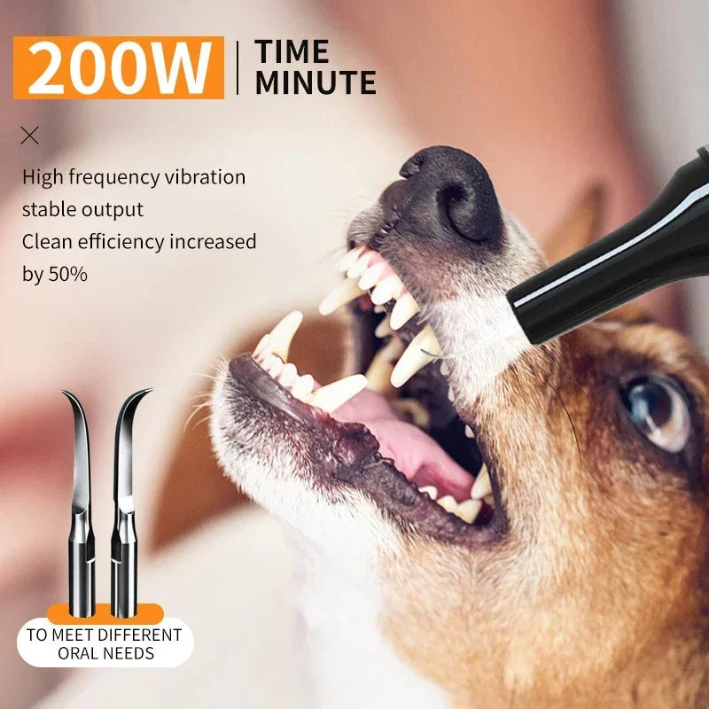 Pet Teeth Cleaning Tools Dog Toothbrushes Dog Supplies Pet Grooming Toothbrush Dental Stain Cleaning Pen Professional Products by Quickfindgoods