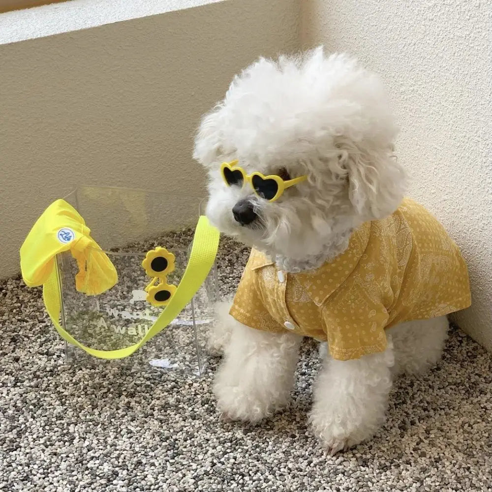 Plastic Cute Pet Products For Small Cat Photos Props Pet Glasses Cat Glasses Cat Eye-Wear Cat Sunglasses Pets Party Decor by Quickfindgoods