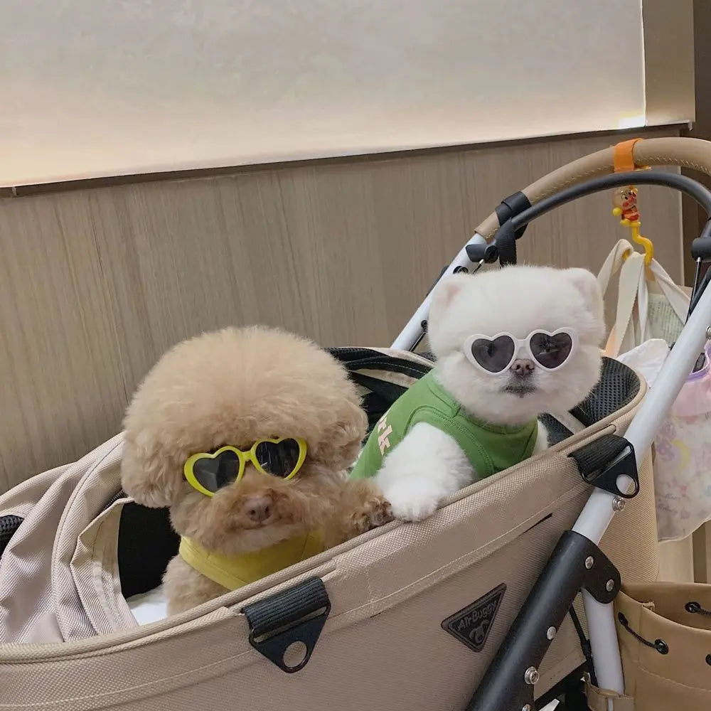 Plastic Cute Pet Products For Small Cat Photos Props Pet Glasses Cat Glasses Cat Eye-Wear Cat Sunglasses Pets Party Decor by Quickfindgoods