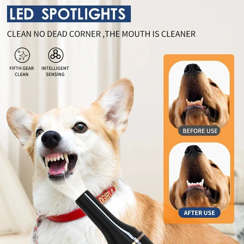 Pet Teeth Cleaning Tools Dog Toothbrushes Dog Supplies Pet Grooming Toothbrush Dental Stain Cleaning Pen Professional Products by Quickfindgoods